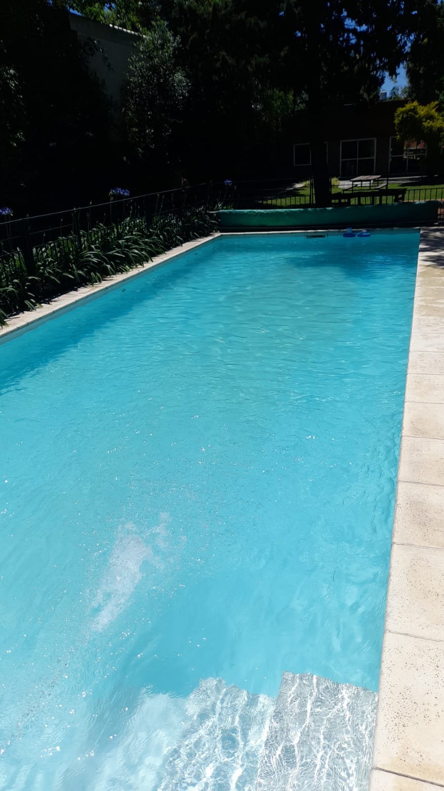 Pileta y pulmón verde